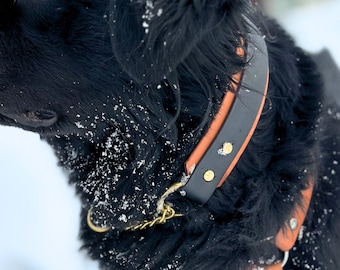 Layered Martingale Dog Collar, 3 Widths, Waterproof, Biothane, No Choke, Custom, Handmade