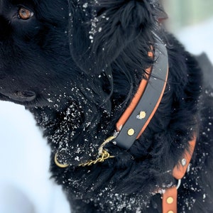 Layered Martingale Dog Collar, 3 Widths, Waterproof, Biothane, No Choke, Custom, Handmade