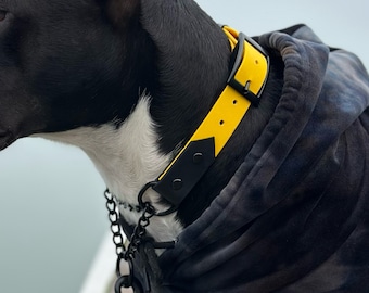 Adjustable Martingale Dog Collar, Waterproof Biothane, Traditional Buckle