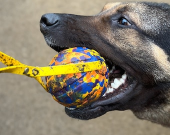 Könnte beinhalten: Ein Deutscher Schäferhund mit schwarzem und braunem Fell spielt mit einem gelben, blauen und orangen Gummiball. Der Hund hält den Ball im Maul und hat einen verspielten Ausdruck im Gesicht.