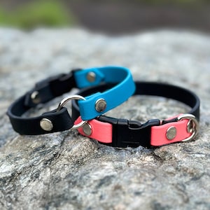 Collar ultraligero e impermeable para perros pequeños, con hebilla de liberación rápida personalizada.