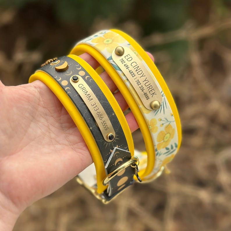 May include: Two dog collars with yellow edges. One is black with gold moon phase icons and a metal tag reading GRIMM 313-686-5555. The other is white with yellow flowers and a metal tag reading ED CINDY YUREK 702 496-4833 | 702 334-5555.