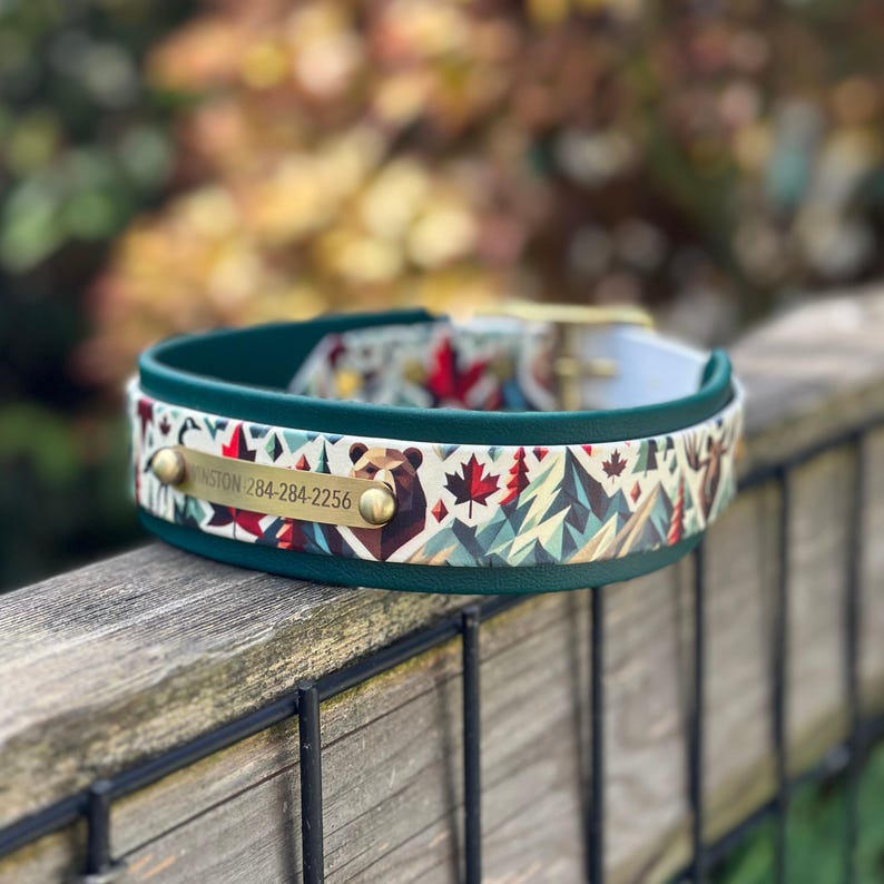 May include: A teal dog collar featuring a patterned print of bears, mountains, and red maple leaves. A rectangular brass nameplate is attached to the front, engraved with the text WINSTON and the phone number 284-284-2256.