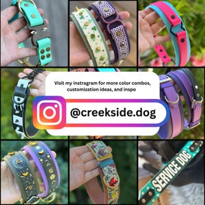 Puede incluir: Una colecci&oacute;n de varios collares para perros con diferentes colores, patrones y estilos de herrajes, incluyendo dise&ntilde;os s&oacute;lidos, estampados y con texto. Un gr&aacute;fico central muestra el texto: Visit my instagram for more color combos, customization ideas, and inspo @creekside.dog.