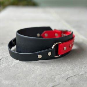 Collar de 5 cm de ancho con asa, extra resistente para perros grandes.