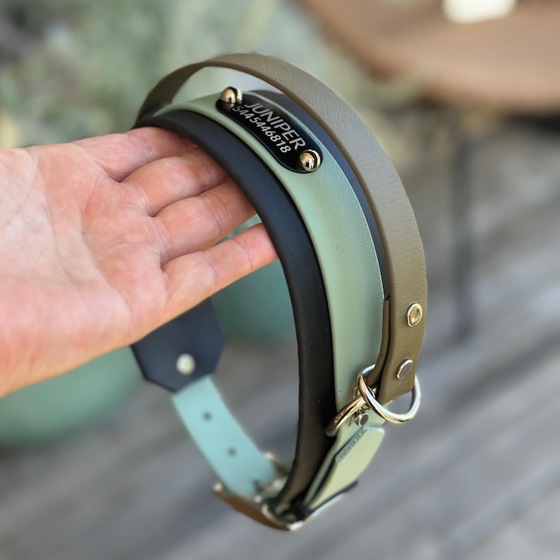 Puede incluir: Un collar para mascotas de varias capas con bandas en verde oliva, verde salvia y negro. Incluye una placa de metal negra grabada con el nombre JUNIPER y el n&uacute;mero 5445446818, asegurada con remaches dorados y una anilla en forma de D.