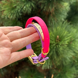 May include: A bright neon pink and light purple collar featuring a gold-toned metal plate engraved with the word REMIX. The collar includes gold-toned metal hardware, including a buckle and D-ring, and is constructed from a smooth, flexible material.