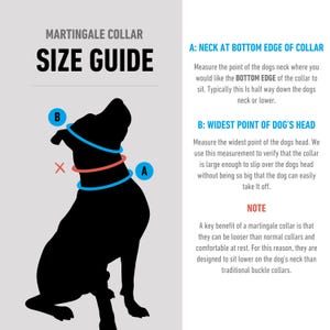 May include: A size guide for a Martingale collar, featuring a black silhouette of a dog with blue and red collar outlines. Text explains how to measure the neck and head for the correct collar size. The text also explains the benefits of a Martingale collar.