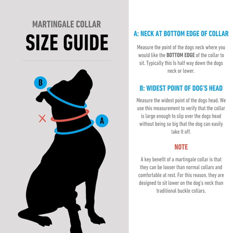 May include: A size guide for a Martingale collar, featuring a black silhouette of a dog with blue and red collar outlines. Text explains how to measure the neck and head for the correct collar size. The text also explains the benefits of a Martingale collar.