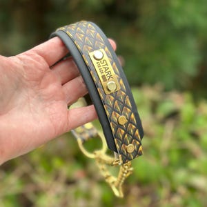 May include: A black collar featuring a gold and black dragon scale pattern, accented with a rectangular gold metal nameplate engraved with the text STARK and a phone number, secured by gold rivets and connected to a gold metal chain link leash.