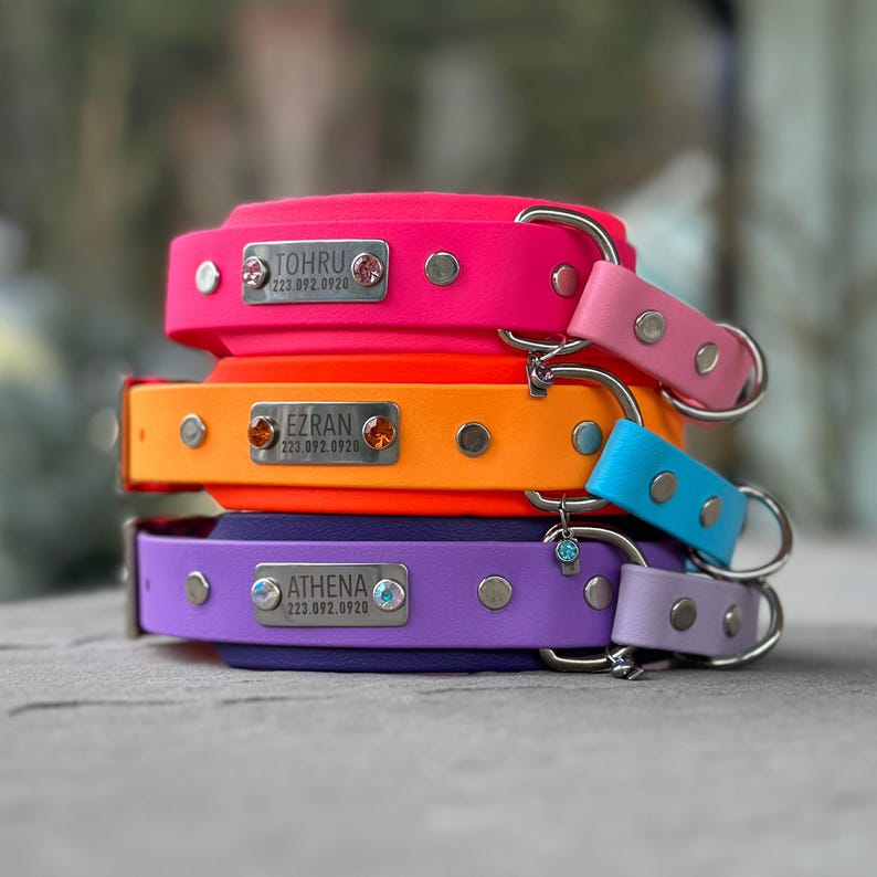 May include: A stack of three pet collars in neon pink, bright orange, and purple. Each collar features a silver metal nameplate engraved with a name and phone number, accented by two small colored crystals, silver rivets, and a metal D-ring.