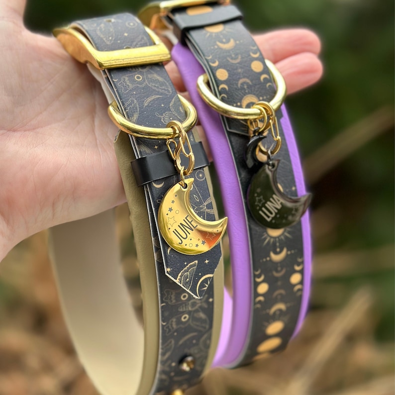 Puede incluir: Dos collares para perros con detalles dorados y patrones de luna y estrellas en negro y dorado. Un collar es lavanda y el otro beige. Los collares tienen dijes dorados a juego con los nombres "June" y "Luna" en ellos.