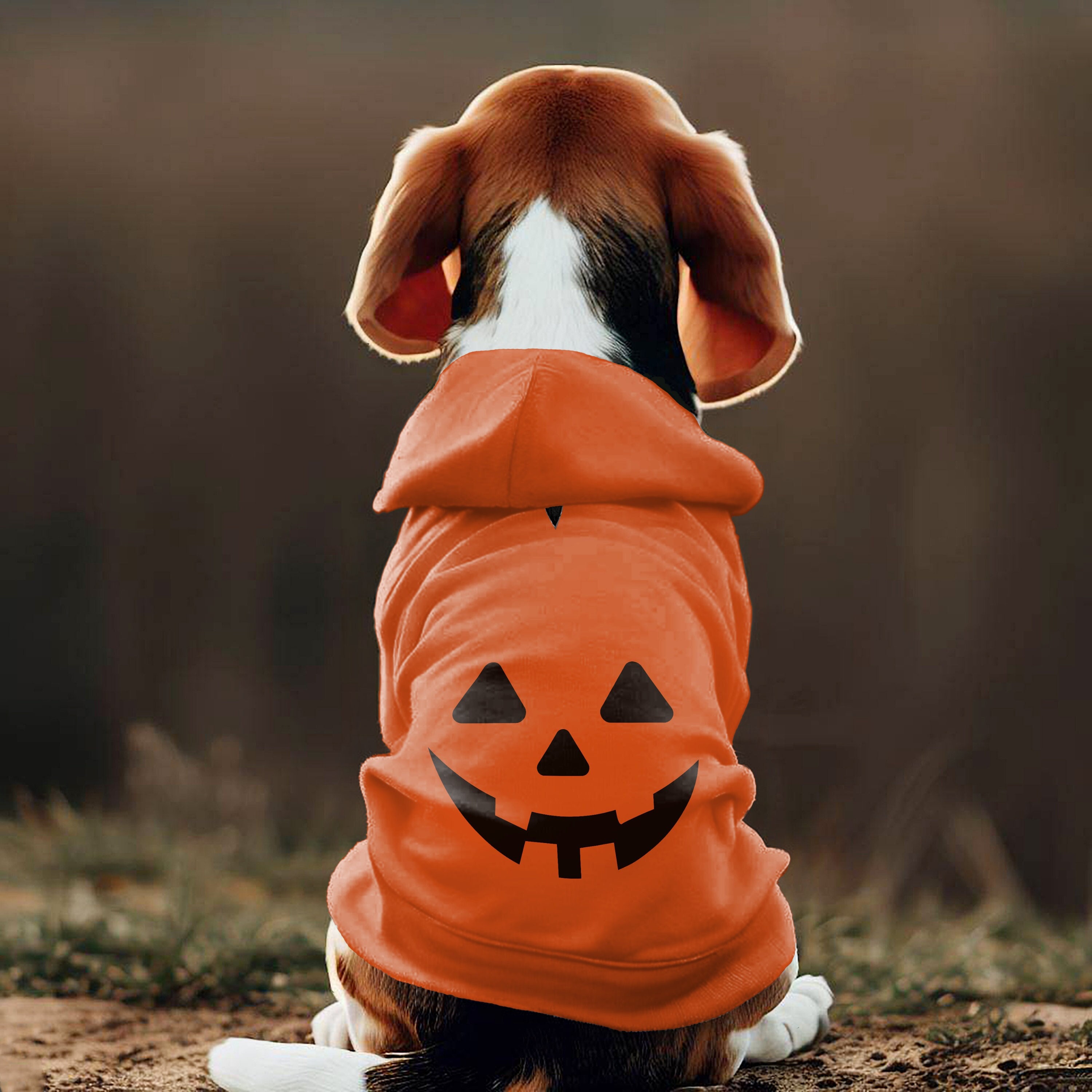 Dog halloween pumpkin costumes 2025