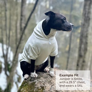 May include: A cream-colored dog hoodie with a hood and white drawstring. The garment is worn by a black and white dog. Text on the image states: Example Fit, Juniper is 64lbs, with a 29.5 inch chest, and wears a 5XL.