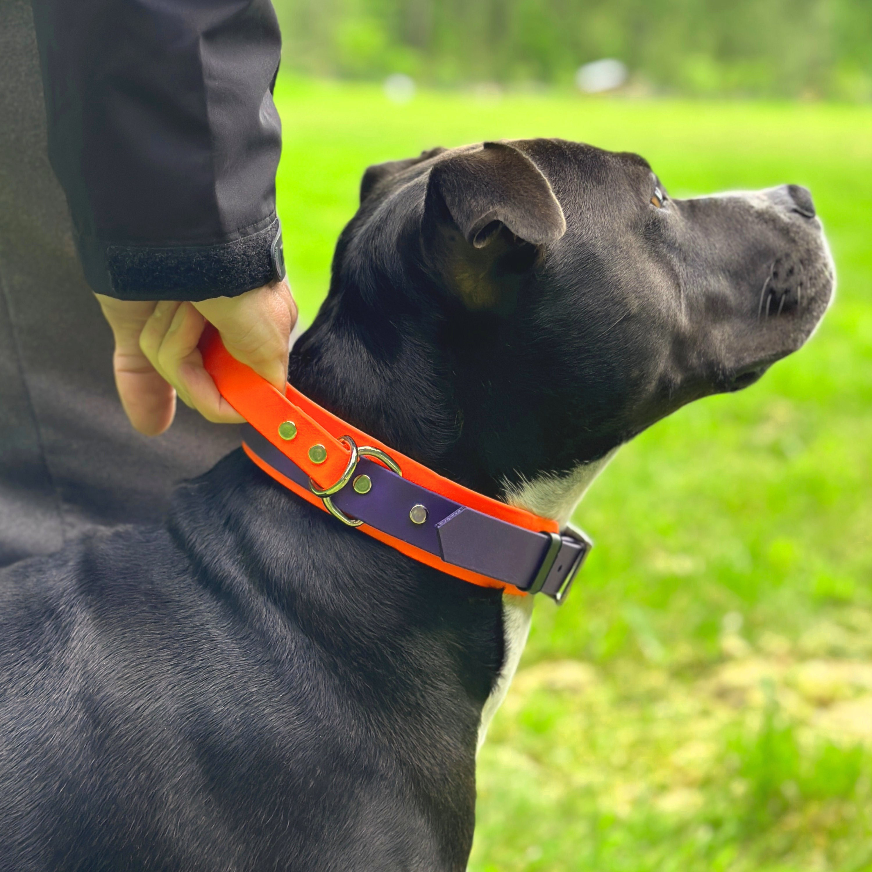 KOOLTAIL Stabiles Hundehalsband Mit Griff - Für Große Hunde, Ballistisches Nylon, Weich Gepolstert & Reflektierend