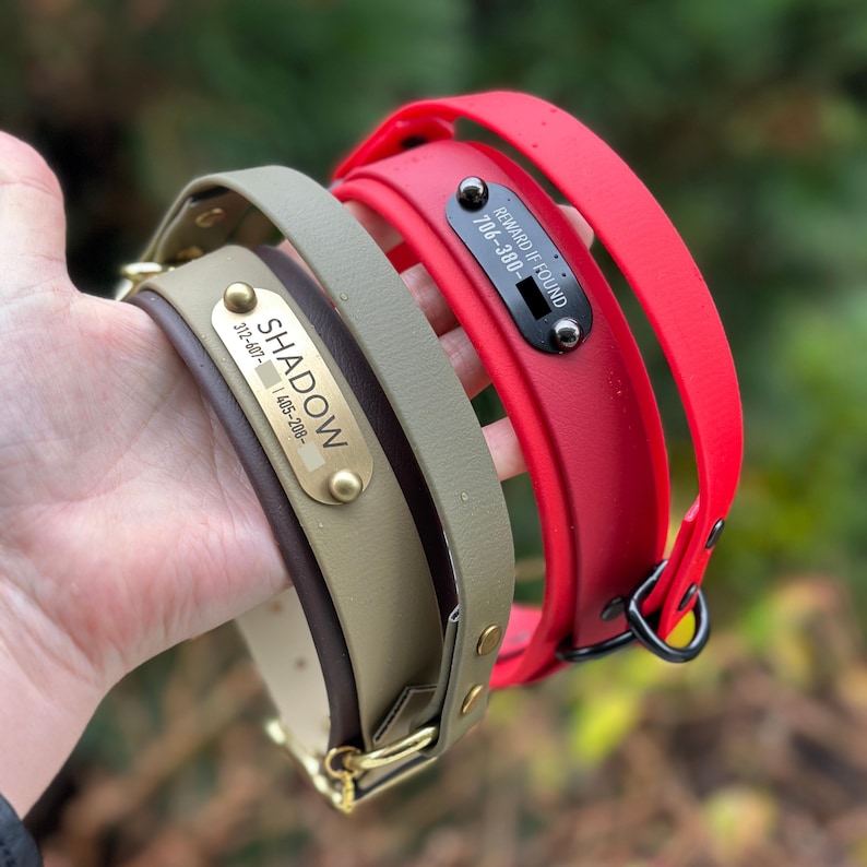 Puede incluir: Dos collares para mascotas, uno de color verde oliva con una placa de lat&oacute;n grabada con el nombre SHADOW y un n&uacute;mero de tel&eacute;fono, y otro de color rojo brillante con una placa negra grabada con el texto REWARD IF FOUND y un n&uacute;mero de tel&eacute;fono.