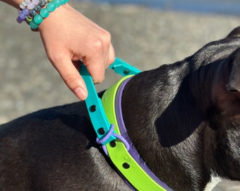 Waterproof Dog Collar with Handle, Custom Biothane Tactical Collar