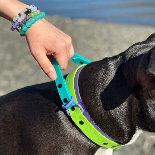 Collier imperméable pour chien avec poignée, collier tactique personnalisé en biothane