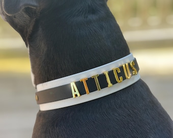 Custom Name Dog Collar, Waterproof Biothane with Buckle