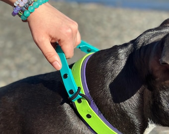 Waterproof Dog Collar with Handle, Custom Biothane Tactical Collar