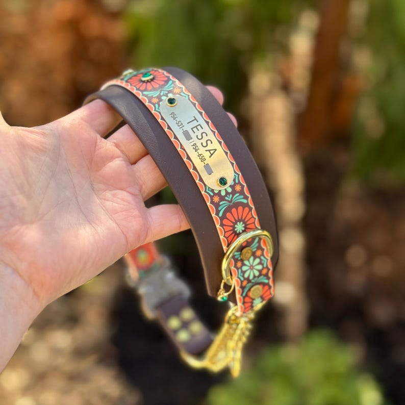 May include: A dark brown leather dog collar featuring a decorative fabric overlay with a floral pattern in orange, teal, and cream. A gold-toned metal nameplate is engraved with the name TESSA and phone numbers 954-531- and 954-650-.