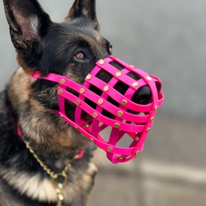 Custom Fit Muzzle for Long Nose Dogs, Waterproof Biothane