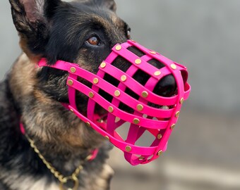 Custom Fit Muzzle for Long Nose Dogs, Waterproof Biothane