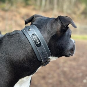 Puede incluir: Un collar ancho para perro de color gris oscuro con un sutil patr&oacute;n texturizado en negro, tachuelas met&aacute;licas plateadas y una placa de identificaci&oacute;n rectangular negra grabada con el nombre JUNIPER y el n&uacute;mero 778-863-2724 en letras blancas.