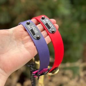 Puede incluir: Dos collares para mascotas, uno morado y otro rojo, cada uno con una placa de identificaci&oacute;n de metal negro asegurada con dos remaches. El collar morado est&aacute; grabado con el nombre SADIE y el rojo con el nombre ROCKY, incluyendo n&uacute;meros.