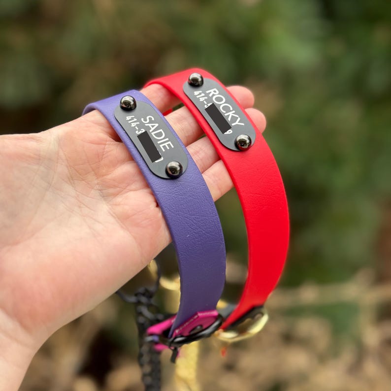 Puede incluir: Dos collares para mascotas, uno morado y otro rojo, cada uno con una placa de identificaci&oacute;n de metal negro asegurada con dos remaches. El collar morado est&aacute; grabado con el nombre SADIE y el rojo con el nombre ROCKY, incluyendo n&uacute;meros.