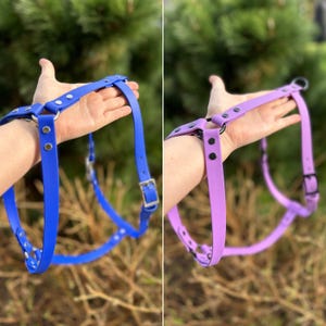 Puede incluir: Se muestran dos arneses para perros, uno azul y otro morado. Cada arn&eacute;s tiene correas ajustables, herrajes met&aacute;licos y un cierre de hebilla. Los arneses est&aacute;n dise&ntilde;ados para adaptarse al pecho y la espalda del perro.