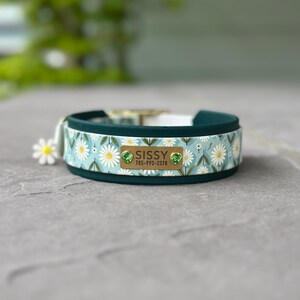 May include: A dark teal pet collar featuring a light blue band with a white daisy floral pattern. A rectangular gold-toned metal nameplate is attached, engraved with the name SISSY and the phone number 785-993-2378, accented by two green crystals.