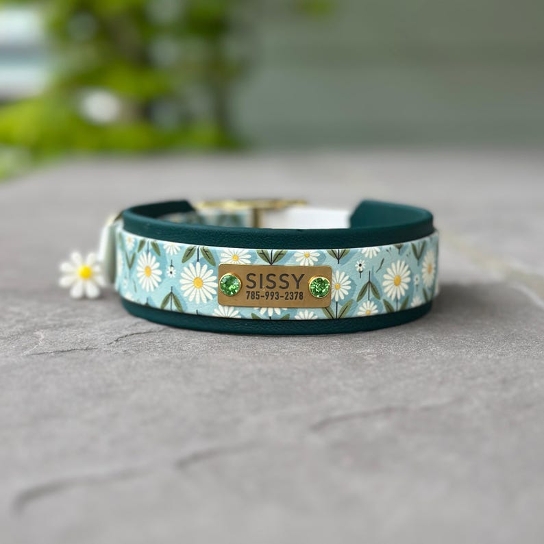 May include: A dark teal pet collar featuring a light blue band with a white daisy floral pattern. A rectangular gold-toned metal nameplate is attached, engraved with the name SISSY and the phone number 785-993-2378, accented by two green crystals.