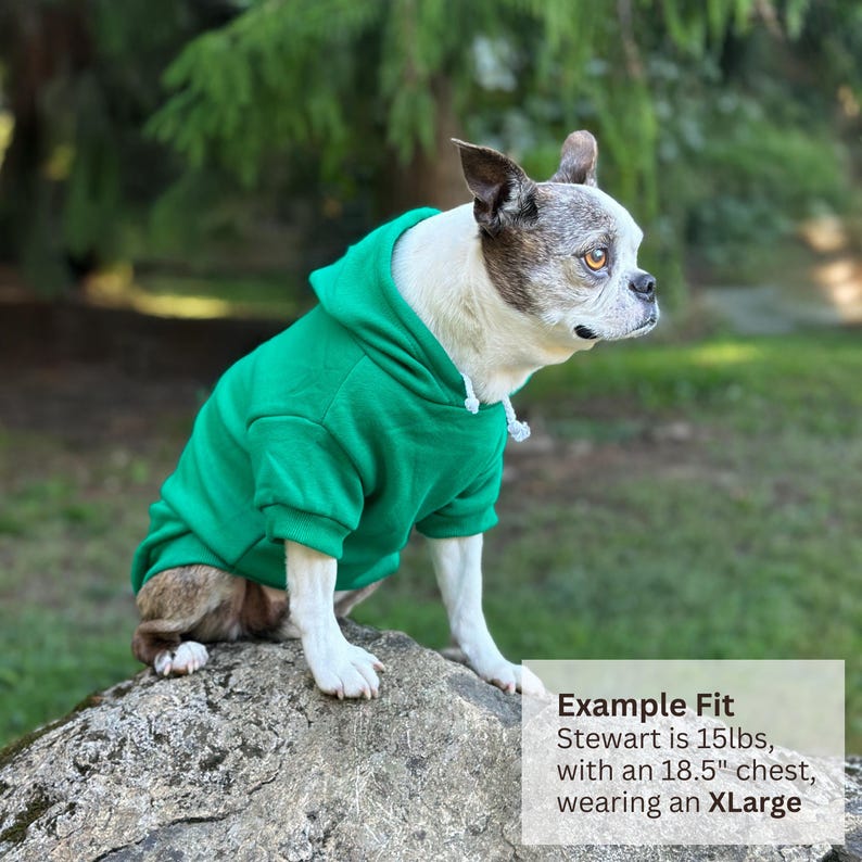 May include: A solid green dog hoodie with a hood and white drawstring cords. The garment is worn by a Boston Terrier. Text on the image states: Example Fit, Stewart is 15lbs, with an 18.5 inch chest, wearing an XLarge.
