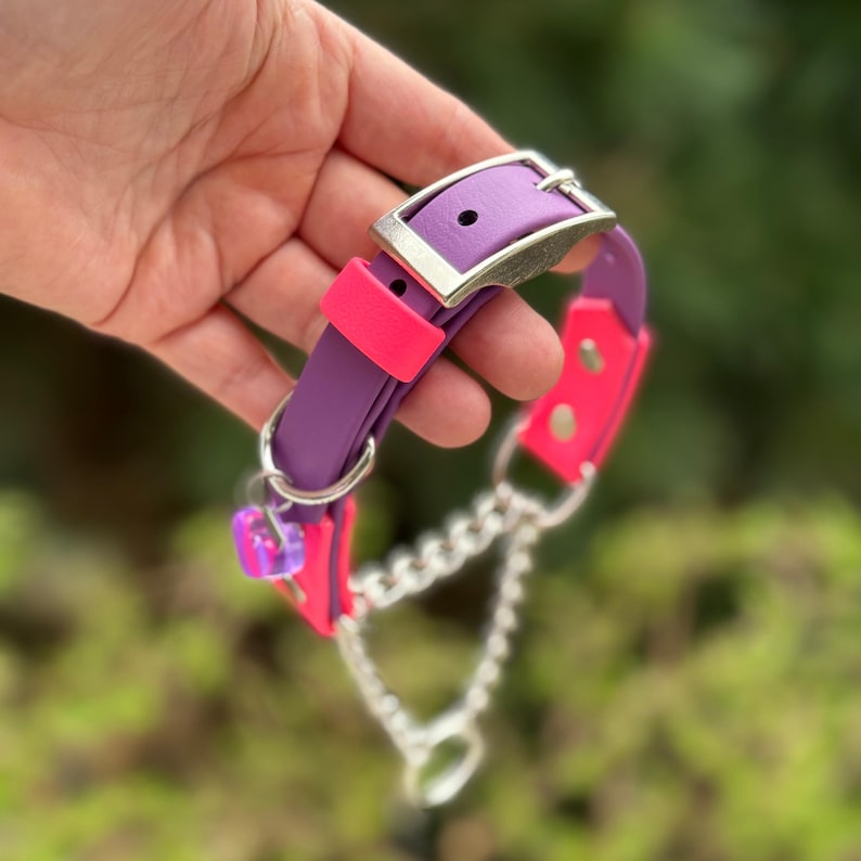 May include: A purple and pink dog collar with a silver buckle and chain. The collar is held up by a hand. The collar has a silver chain and a small, clear, purple charm.