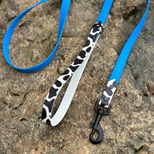 May include: A bright blue dog lead featuring a handle and a connector section with a black and white cow print pattern. The lead includes a black metal swivel snap hook and black rivets securing the patterned sections to the blue strap.