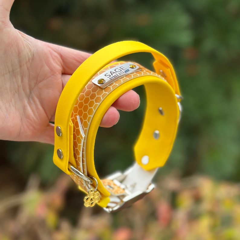 May include: A bright yellow pet collar featuring a honeycomb pattern on the inner band. A silver-toned metal nameplate is attached, engraved with the name SAGE and a phone number, accented by two small yellow crystals and a honeycomb-shaped charm.