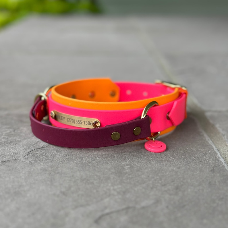 May include: A multi-layered pet collar featuring neon orange, neon pink, and deep purple bands. It includes a gold-toned metal nameplate engraved with the text WILEY (270) 555-1386, gold hardware, and a small neon pink smiley face charm.