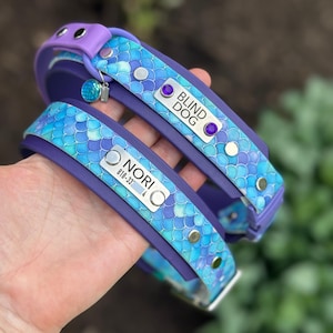 May include: Two purple and blue dog collars featuring a mermaid scale pattern. One collar has a metal tag engraved with "BLIND DOG" and purple accents, while the other features a tag engraved with "NORI" and a phone number, plus a small charm.