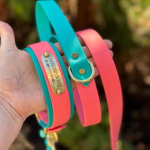 May include: A bright pink and teal waterproof dog collar and leash set featuring a gold-toned metal nameplate engraved with the text ANORIA WATSON WADE and two phone numbers, secured with gold-toned rivets and a D-ring hardware attachment.