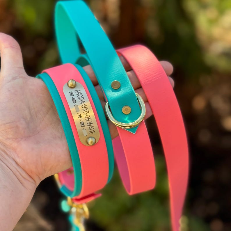 May include: A bright pink and teal waterproof dog collar and leash set featuring a gold-toned metal nameplate engraved with the text ANORIA WATSON WADE and two phone numbers, secured with gold-toned rivets and a D-ring hardware attachment.