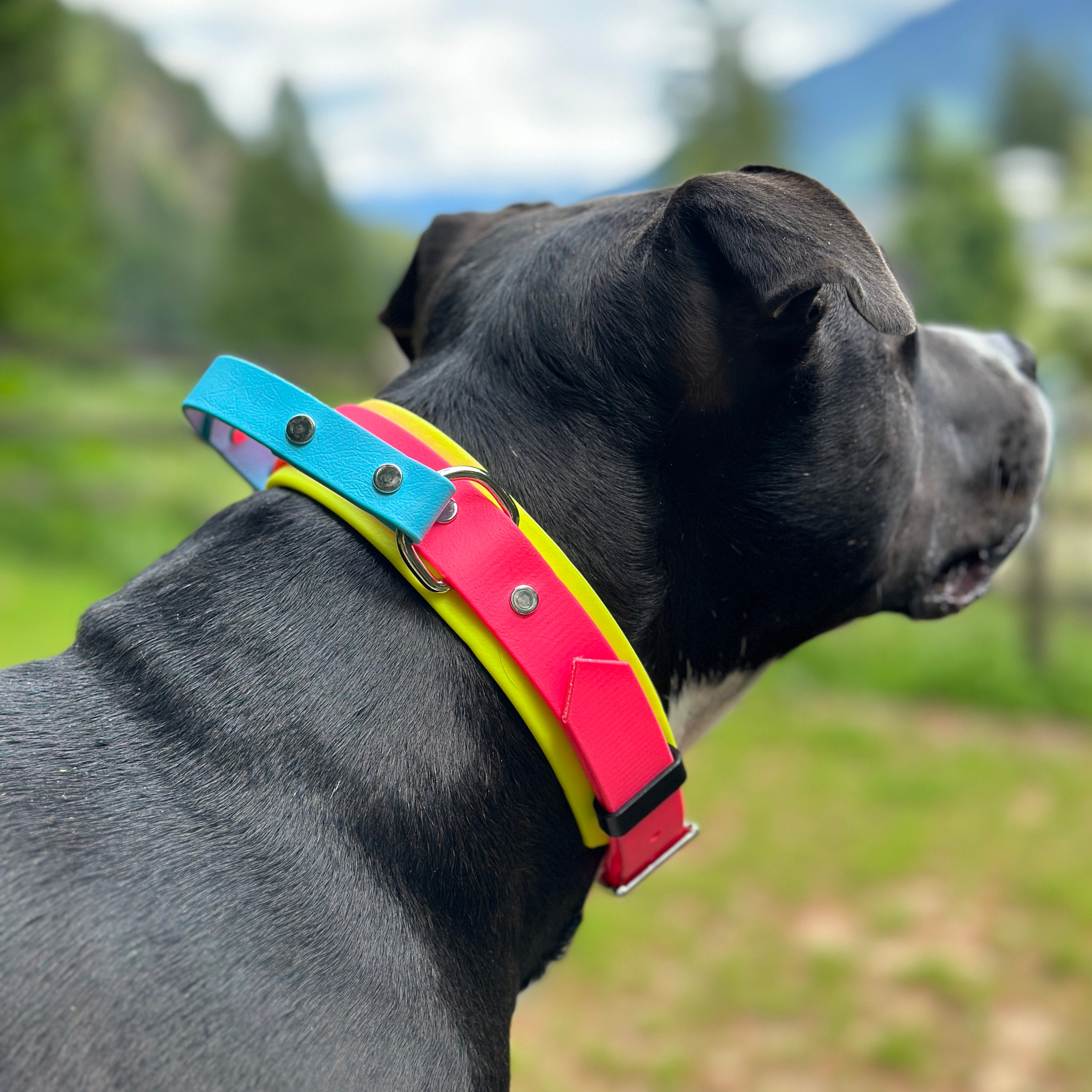 YOETEY Taktisches Hundehalsband Mit Griff – 3,8 Cm Breit, Nylon, Gepolstert, Verstellbar & Reflektierend