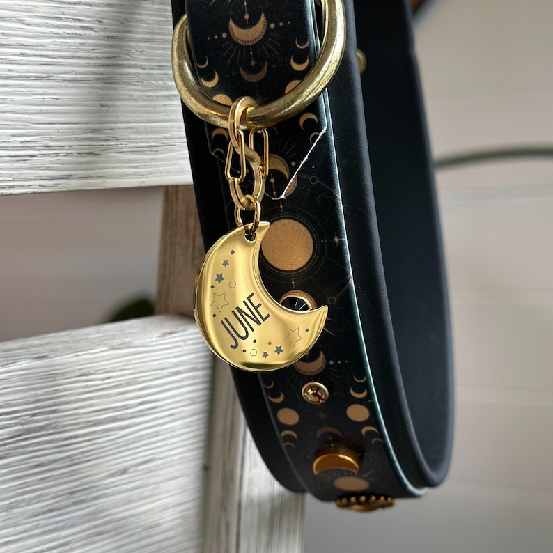 Puede incluir: Un collar de perro negro y dorado con un dije en forma de media luna grabado con la palabra "JUNIO".