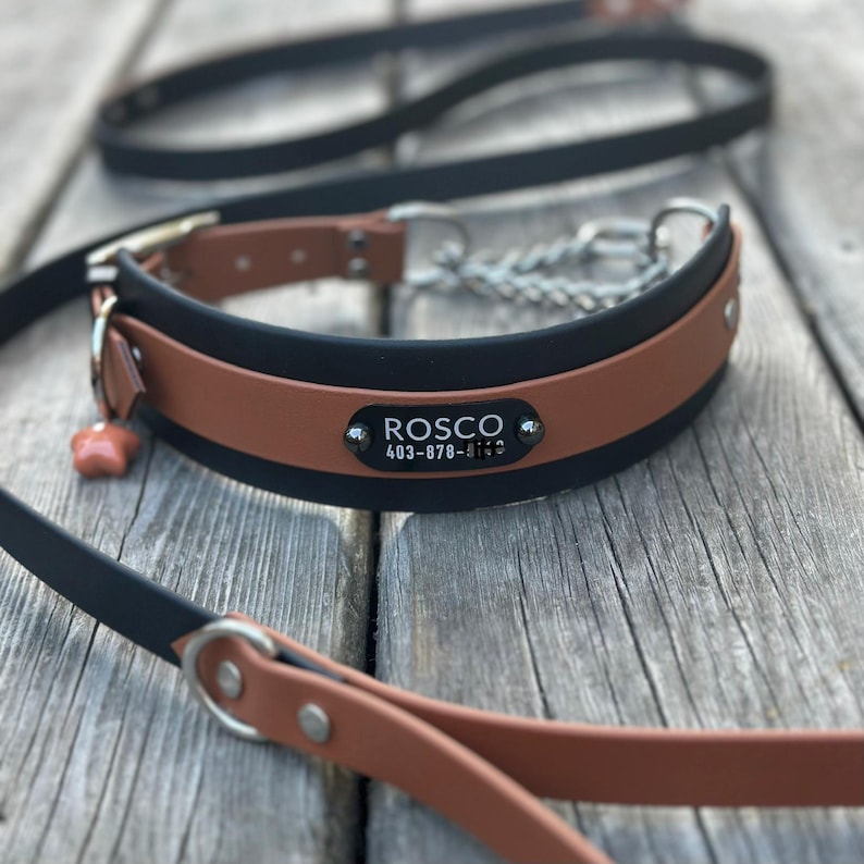 Puede incluir: Un collar para perro negro y marr&oacute;n con correa a juego. El collar cuenta con una secci&oacute;n de cadena met&aacute;lica, una hebilla plateada y una placa negra con el texto blanco ROSCO y el n&uacute;mero 403-878-XXXX. Tiene un peque&ntilde;o dije de estrella naranja.
