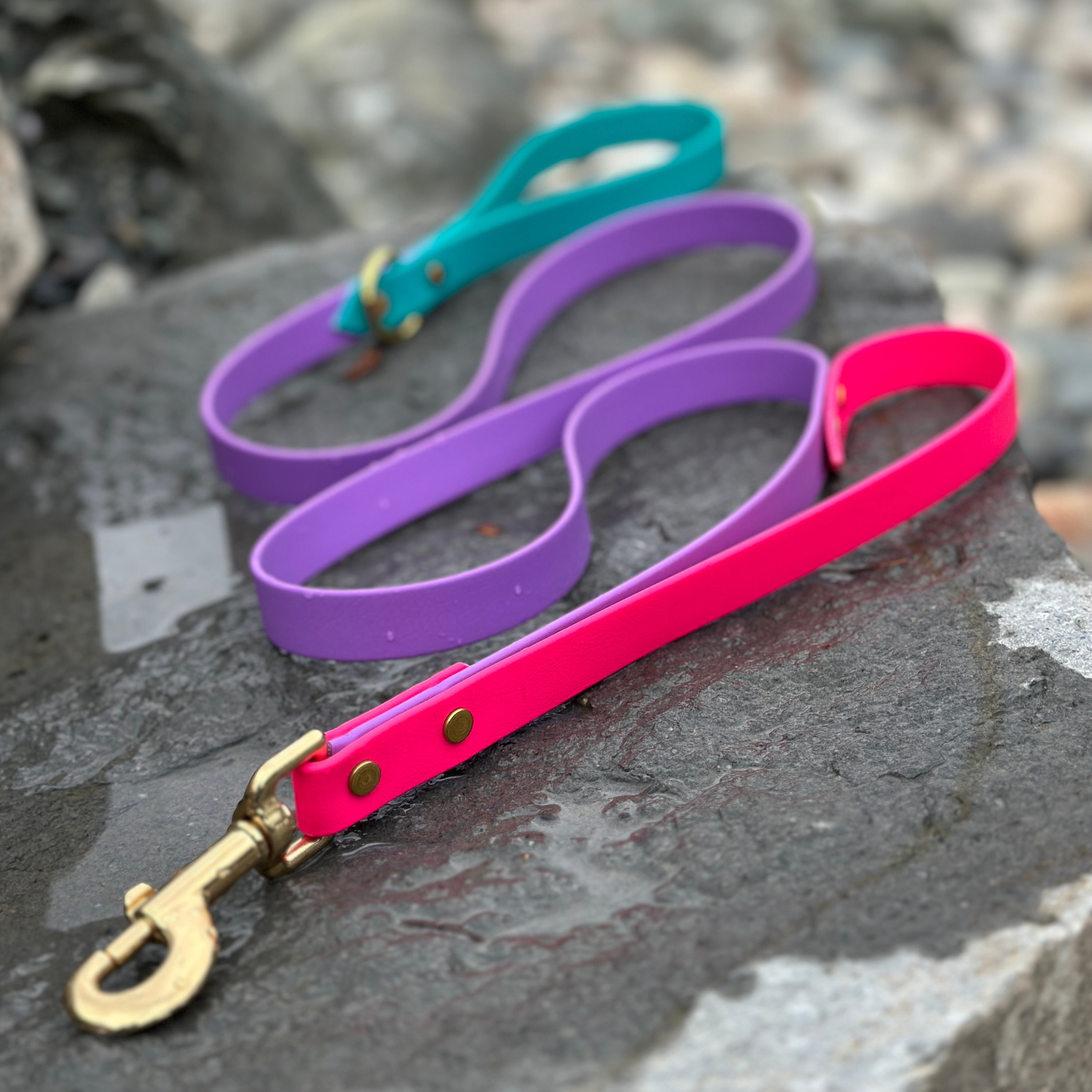 Leash with Traffic Handle, Custom Length Waterproof Biothane Lead