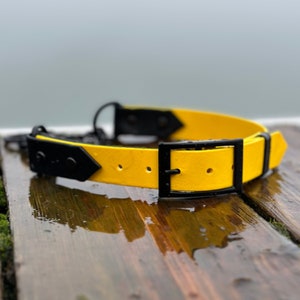 May include: A yellow dog collar with black hardware, including a buckle and chain attachment. The collar is made of a durable material and is designed for a comfortable fit. The hardware is black and adds a stylish contrast to the bright yellow.