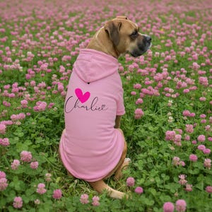 May include: A light pink dog hoodie featuring a bright pink heart graphic above the name Charlie written in black cursive script. The garment has a hood and is worn by a brown and tan dog facing away from the camera in a field of clover.