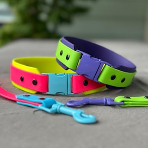 May include: Two colorful dog collars with bright yellow, pink, green, and purple bands. The collars have blue and purple buckles. A matching leash is also included.