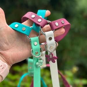Puede incluir: Una colecci&oacute;n de collares para perros coloridos en verde azulado, blanco, morado y verde menta. Cada collar presenta un anillo de metal y dijes decorativos, incluidos colgantes en forma de flor. Los collares son de material flexible.