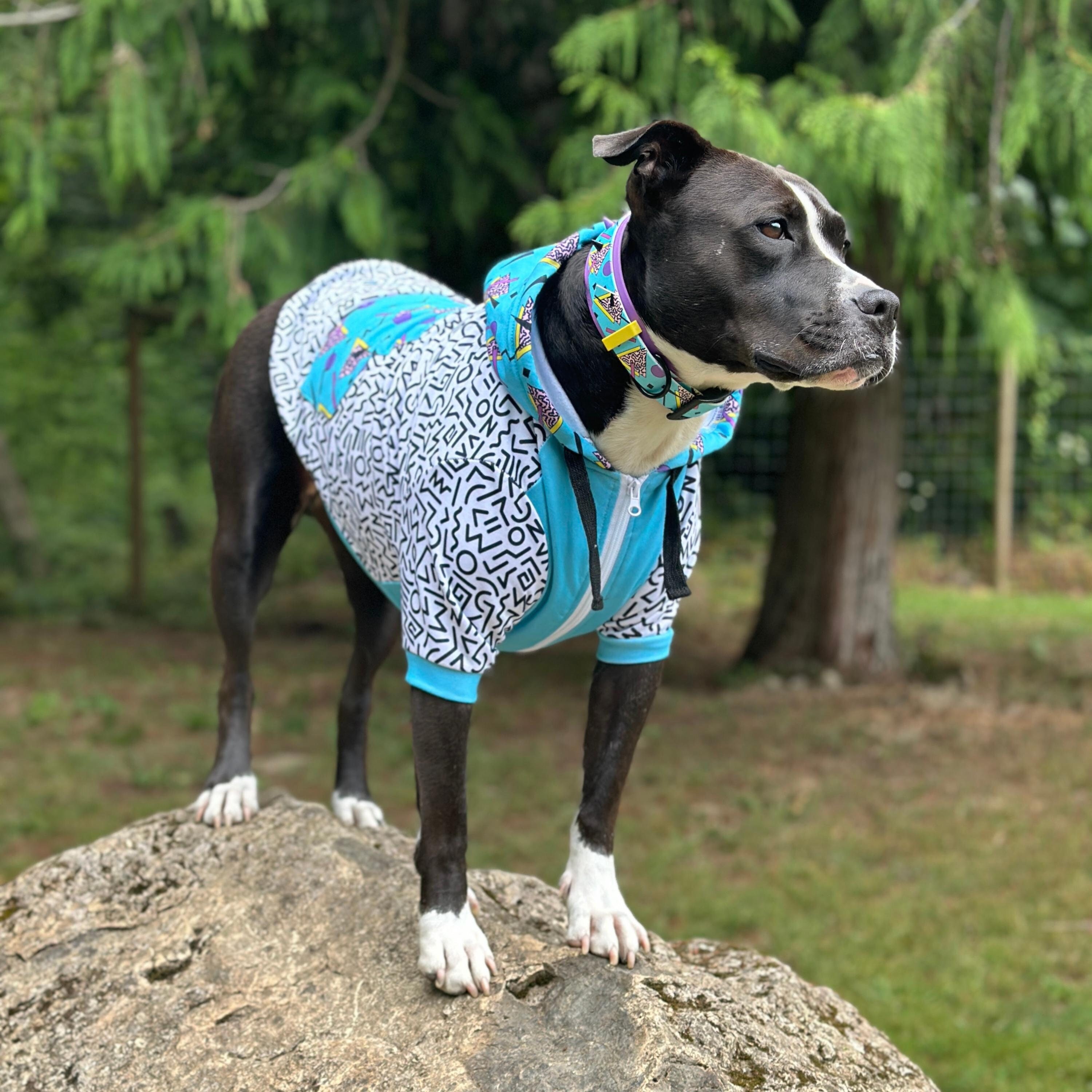 Dog zip hoodie new arrivals